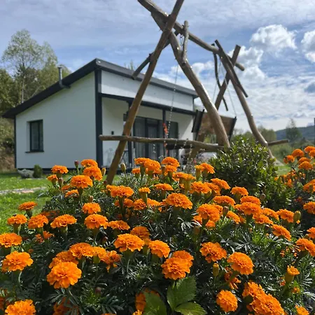 Verhlysne Holiday home Skhidnytsia